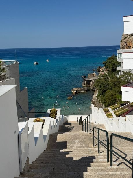 Globales Don Pedro Adults Only +16-旅行者