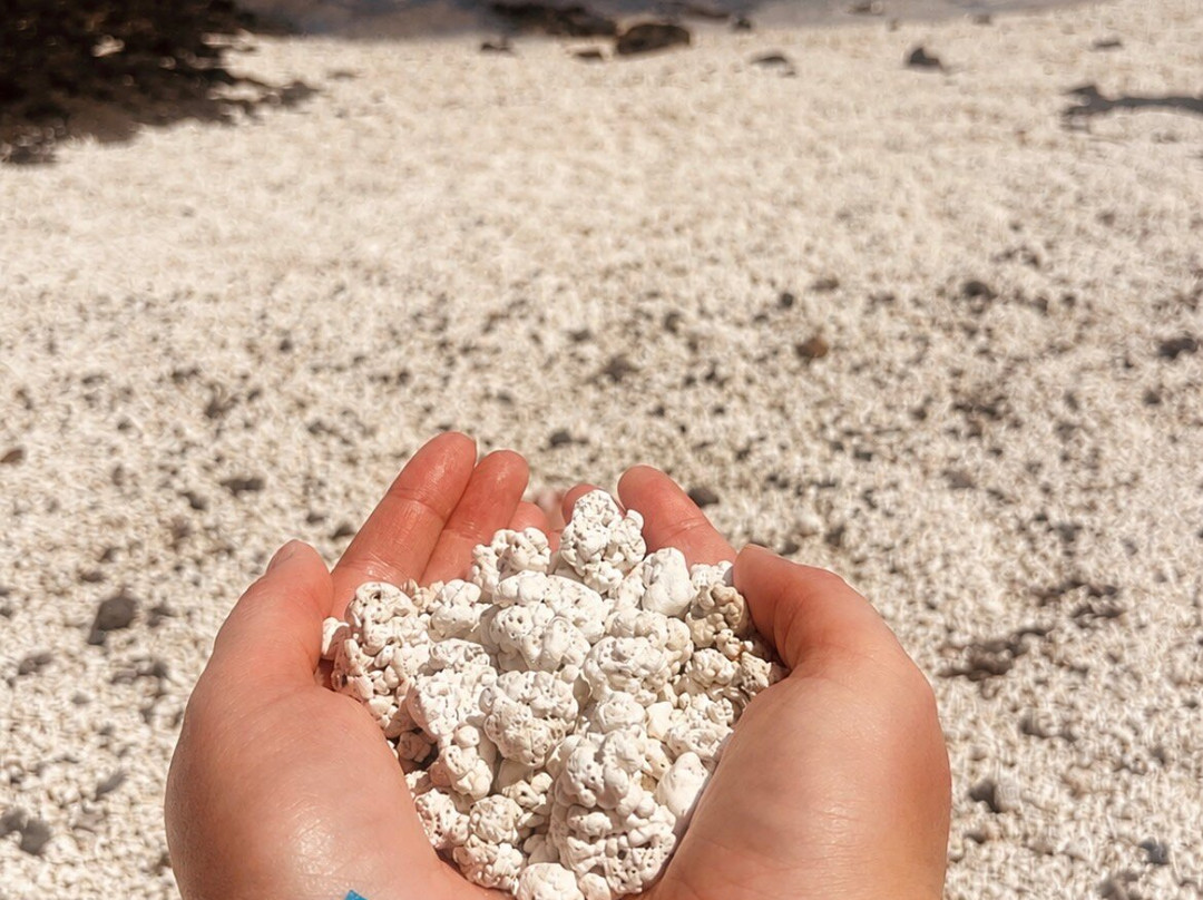 Popcorn Playa-科拉雷侯必去景点