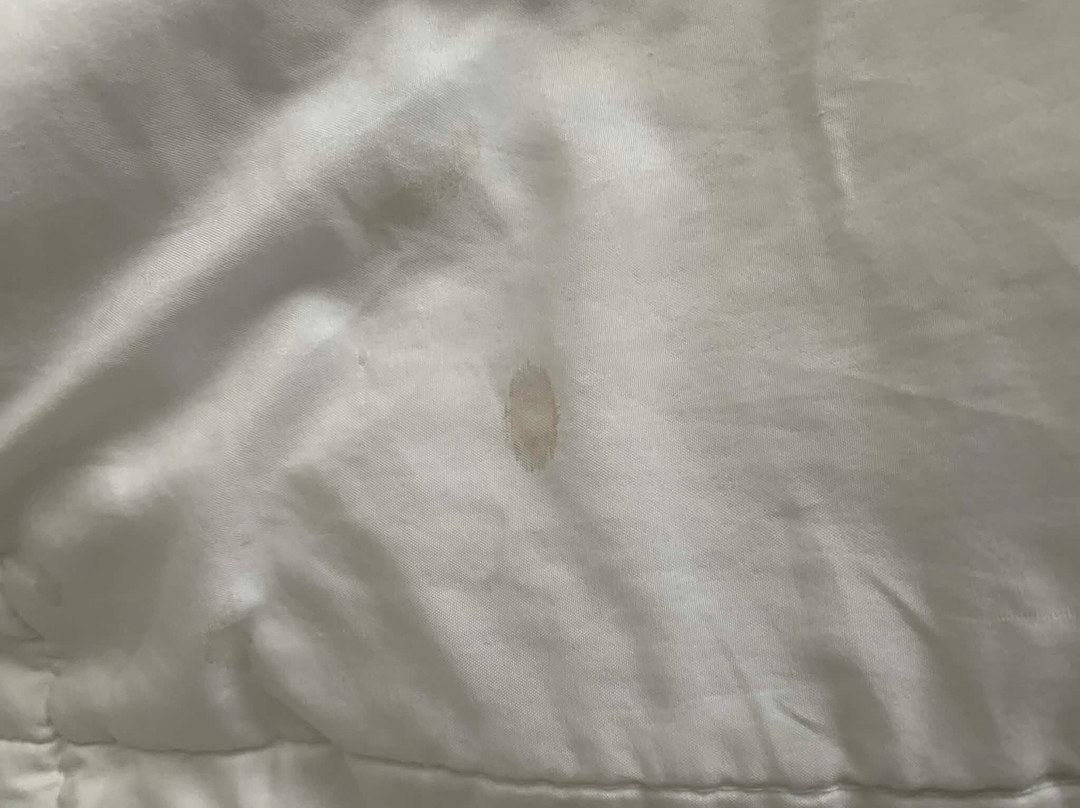圣路易斯南费斯特斯拉昆塔温德姆套房酒店主图