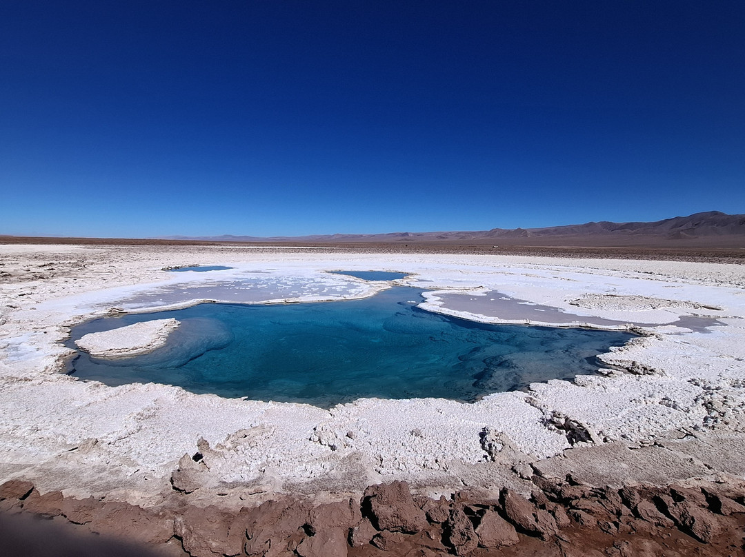 Lagunas Escondidas de Baltinache-圣佩德罗-德阿塔卡马必去景点