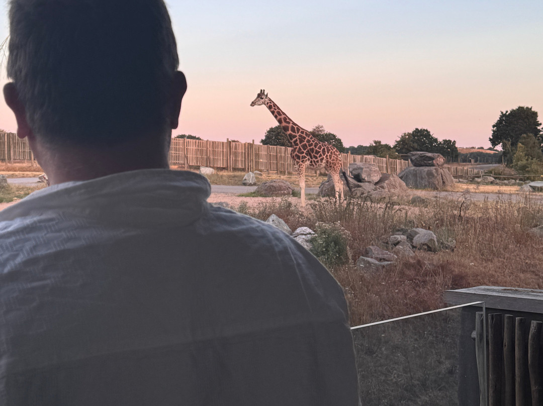 Safari Lodges At West Midlands Safari Park主图