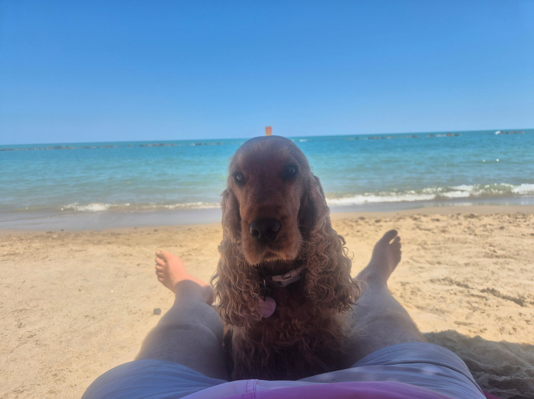 Scoobydoo Beach