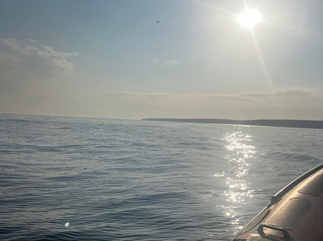 Coast Boat Trips-彭赞斯必去景点