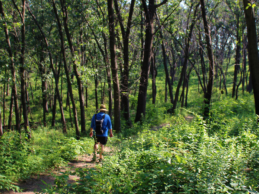 Cowles Bog-Chesterton必去景点