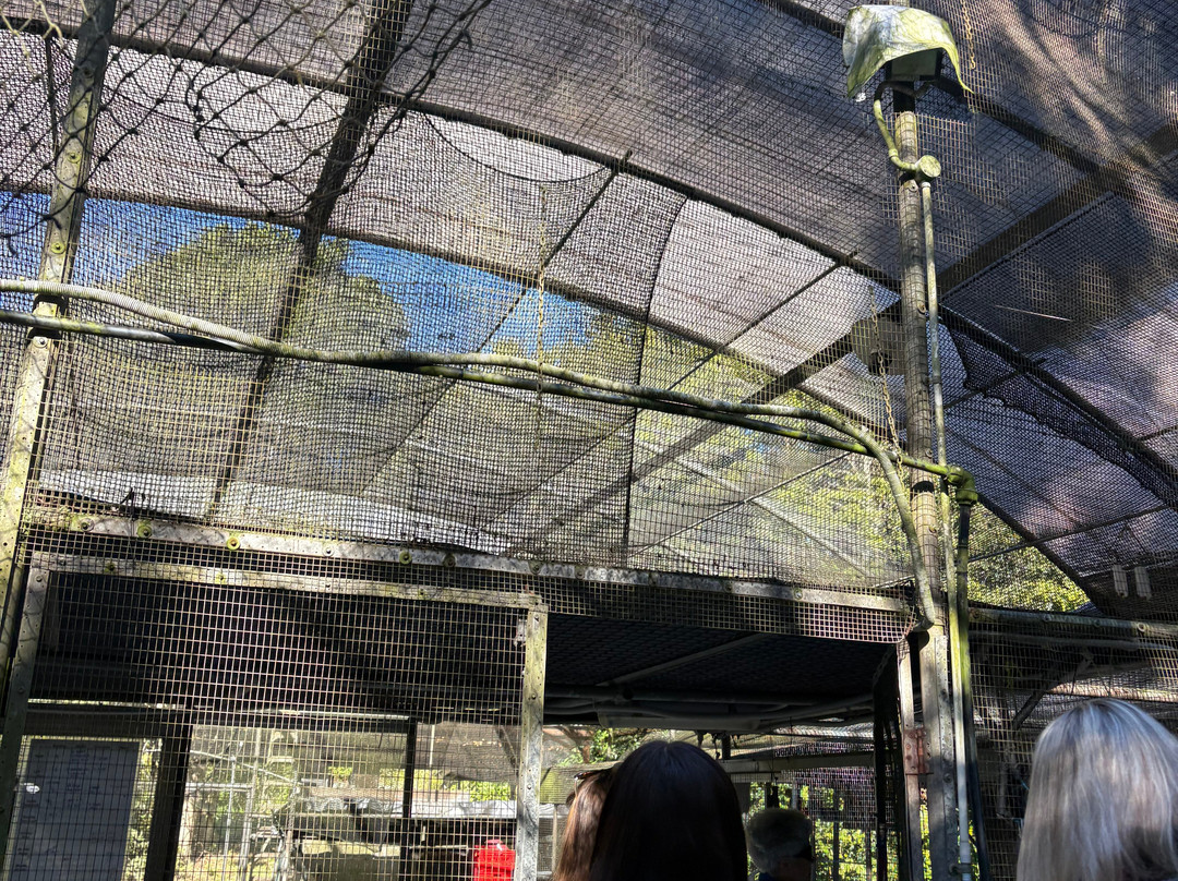 The Bat Hospital Visitor Centre- 阿瑟顿必去景点