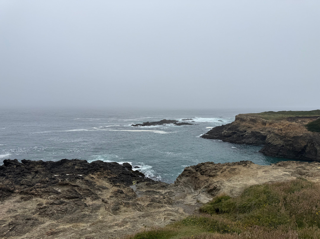 Mendocino Headlands State Park-门多西诺必去景点