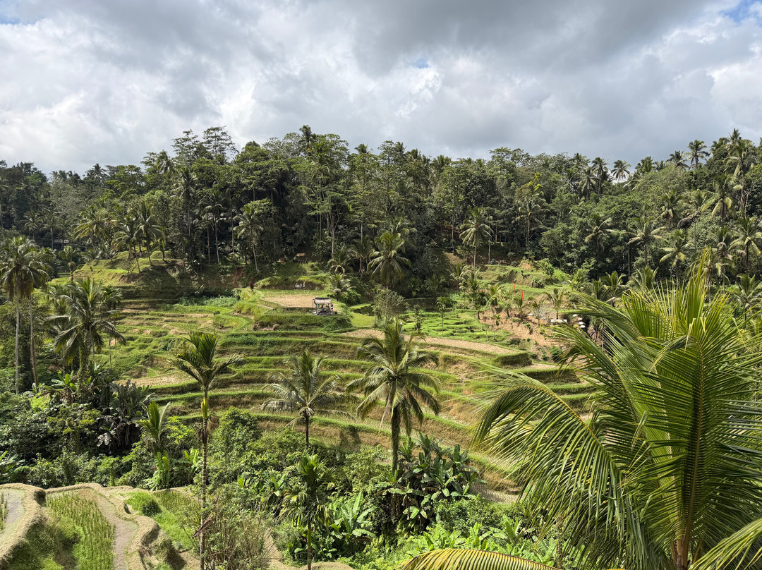 Bali Qhiu Holiday-登巴萨必去景点