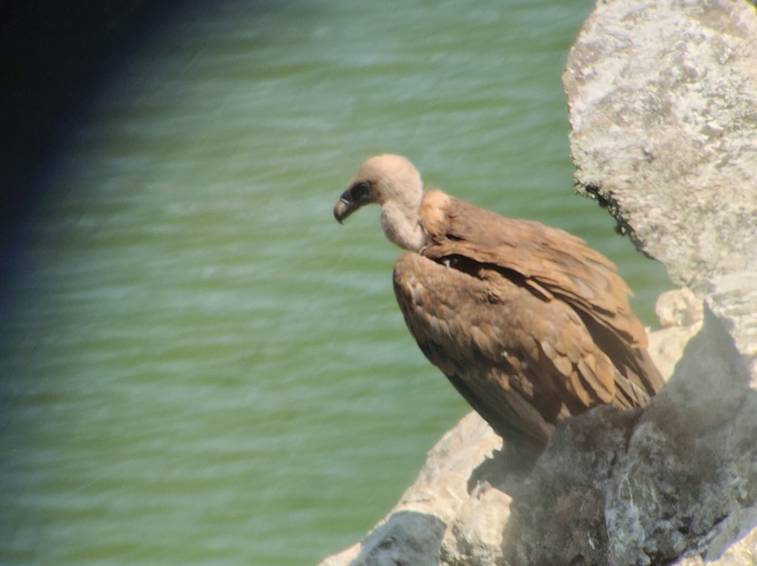 Monfrague Natural Ecoturismo-Malpartida de Plasencia必去景点