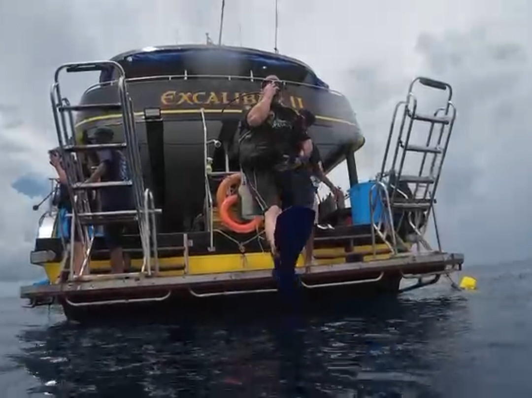 Sea Bees Diving Mai Khao-迈考必去景点
