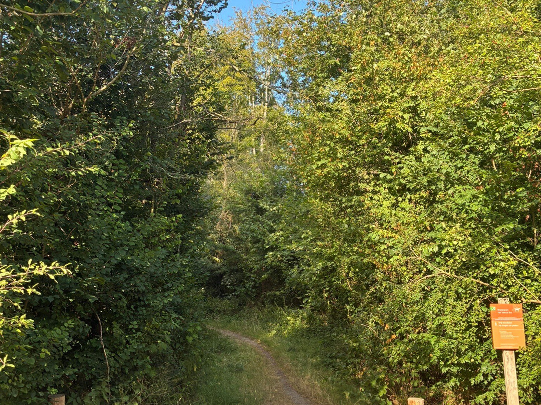 Boswachterspad Veerse Bos-Veere必去景点