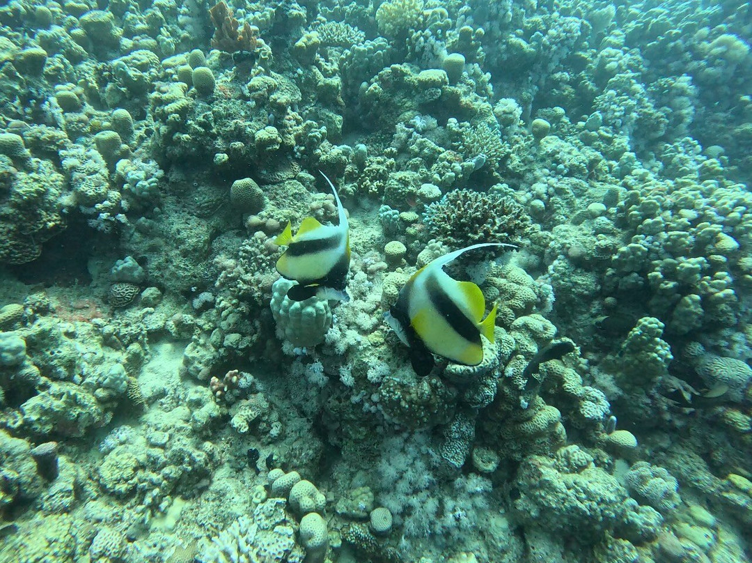 Aquarius Diving Club-马卡迪湾必去景点