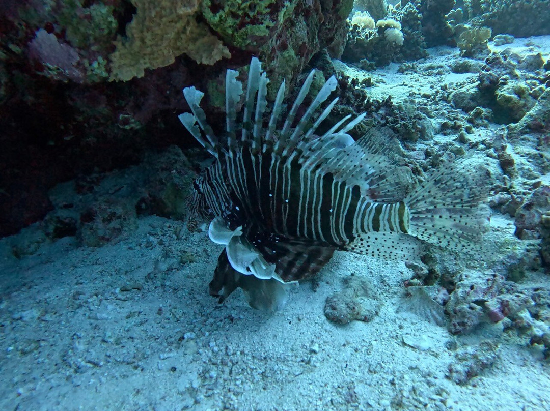 Aquarius Diving Club-马卡迪湾必去景点