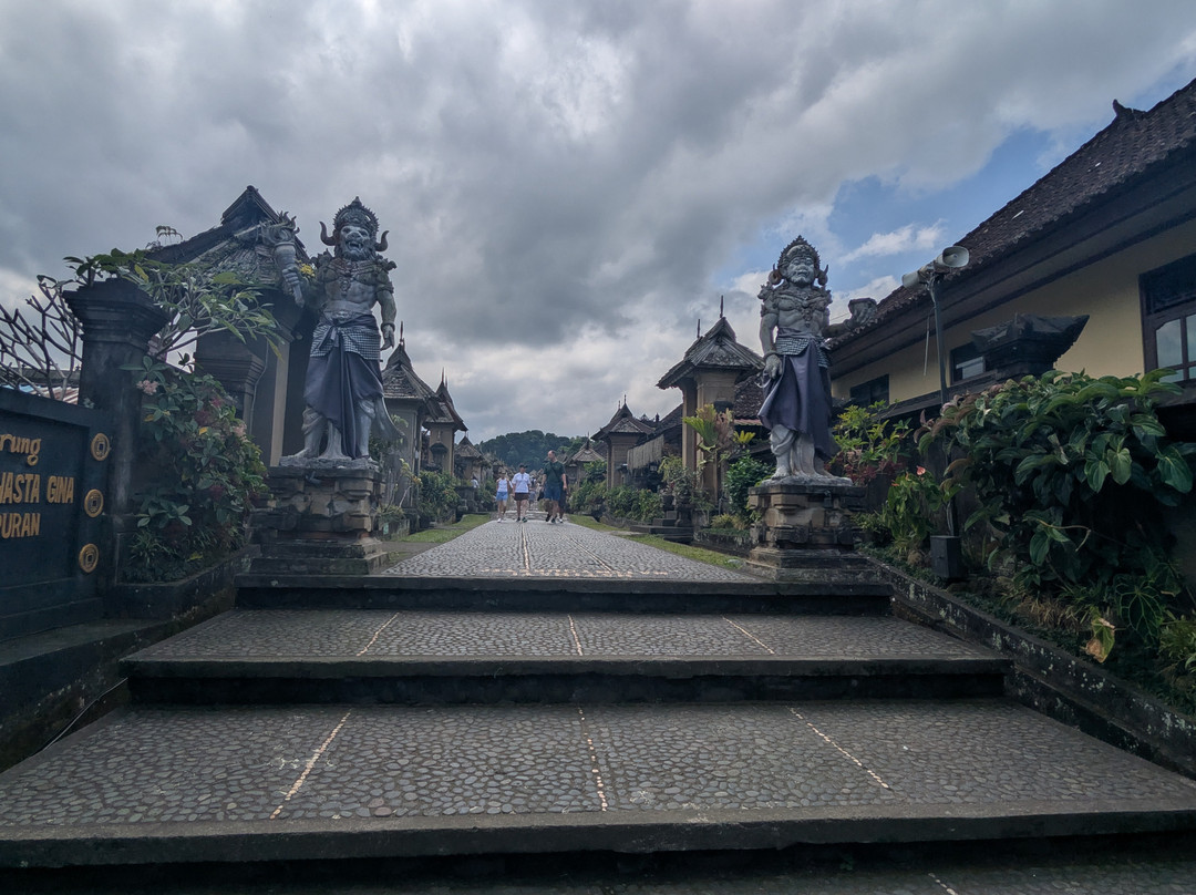Best Ubud Driver-乌布必去景点