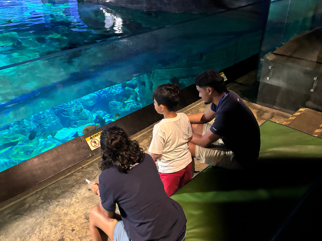 Odysseo Oceanarium Mauritius-路易士港必去景点