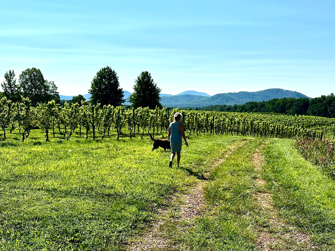 Afton Mountain Vineyards-Afton必去景点