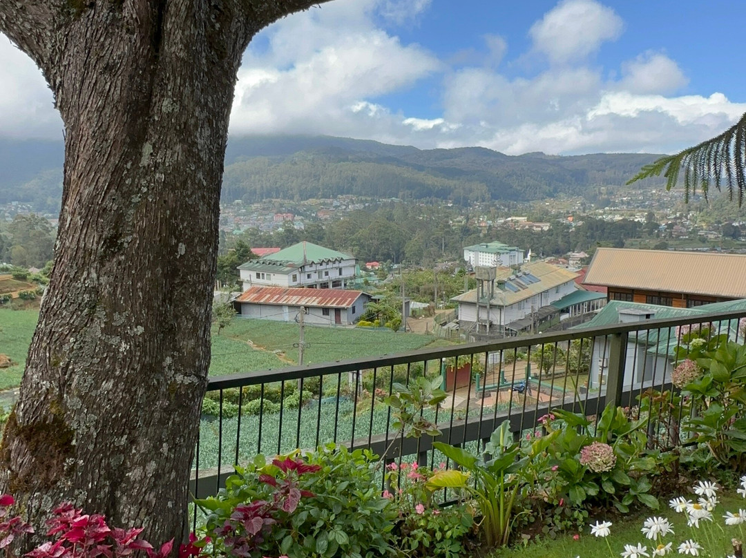橡光夏山清风酒店主图