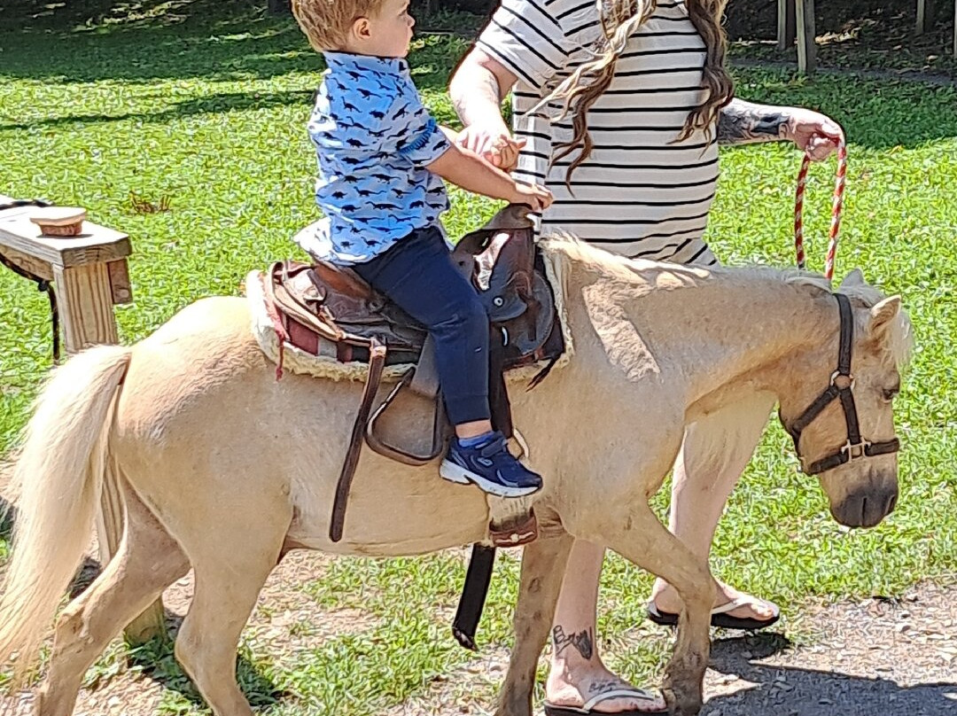 Smoky Mountain Deer Farm & Exotic Petting Zoo-塞维尔维尔必去景点