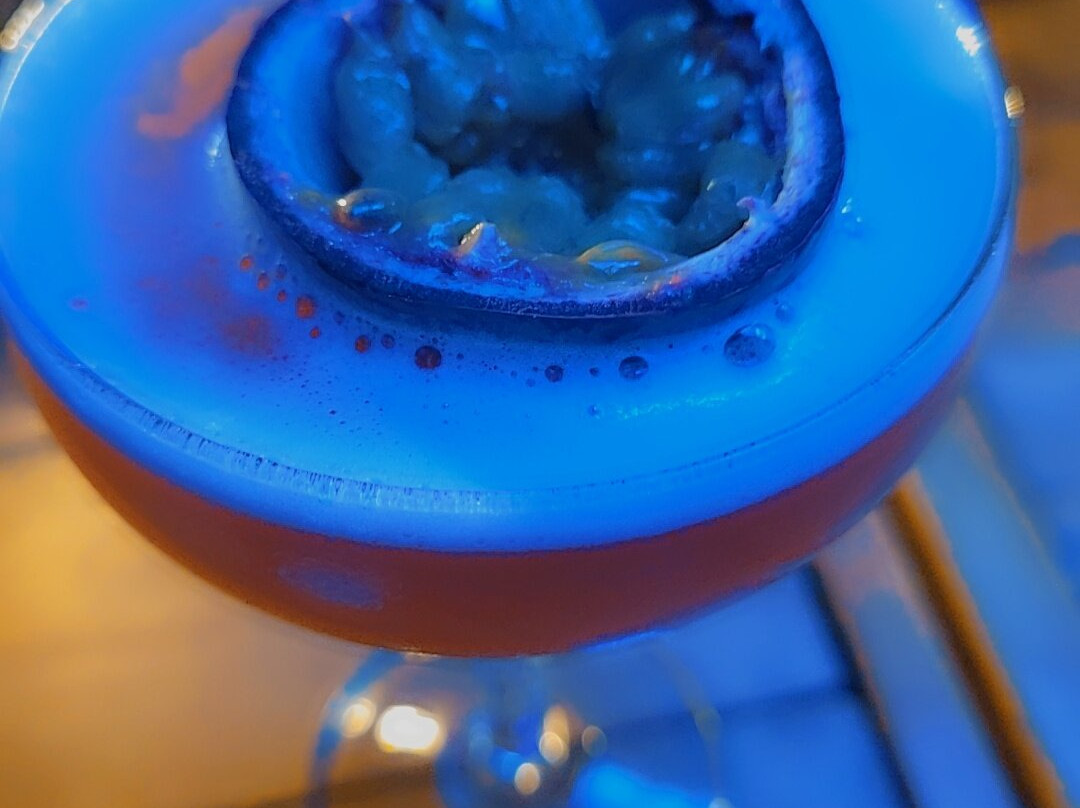 Elixer Room-海牙必去景点