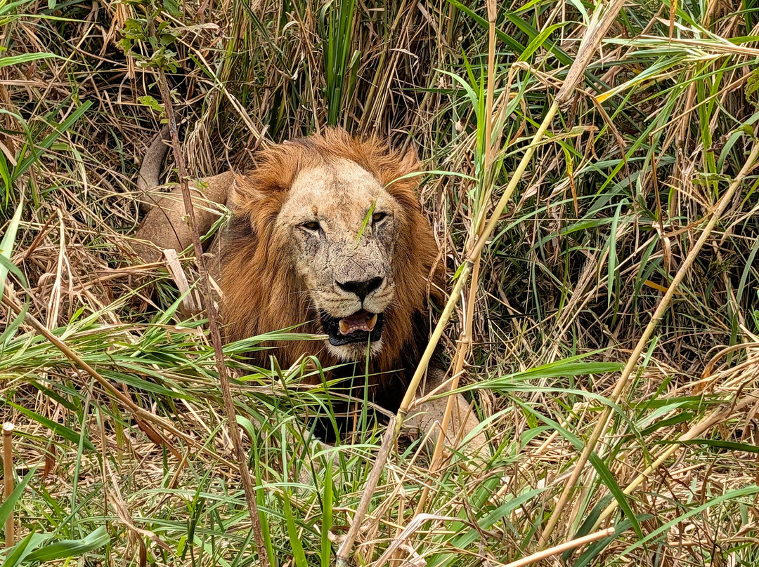 ZanzibarLeisureTours & Safaris-桑给巴尔市必去景点