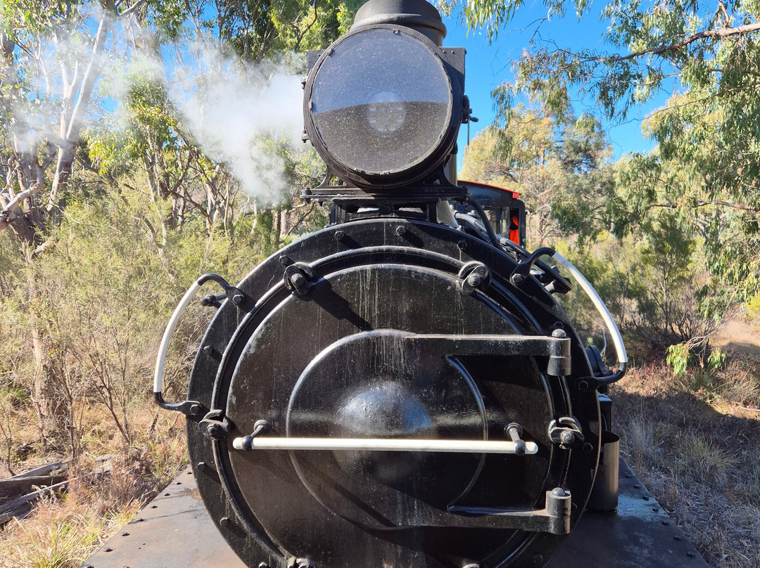 Southern Downs Steam Railway-Warwick必去景点