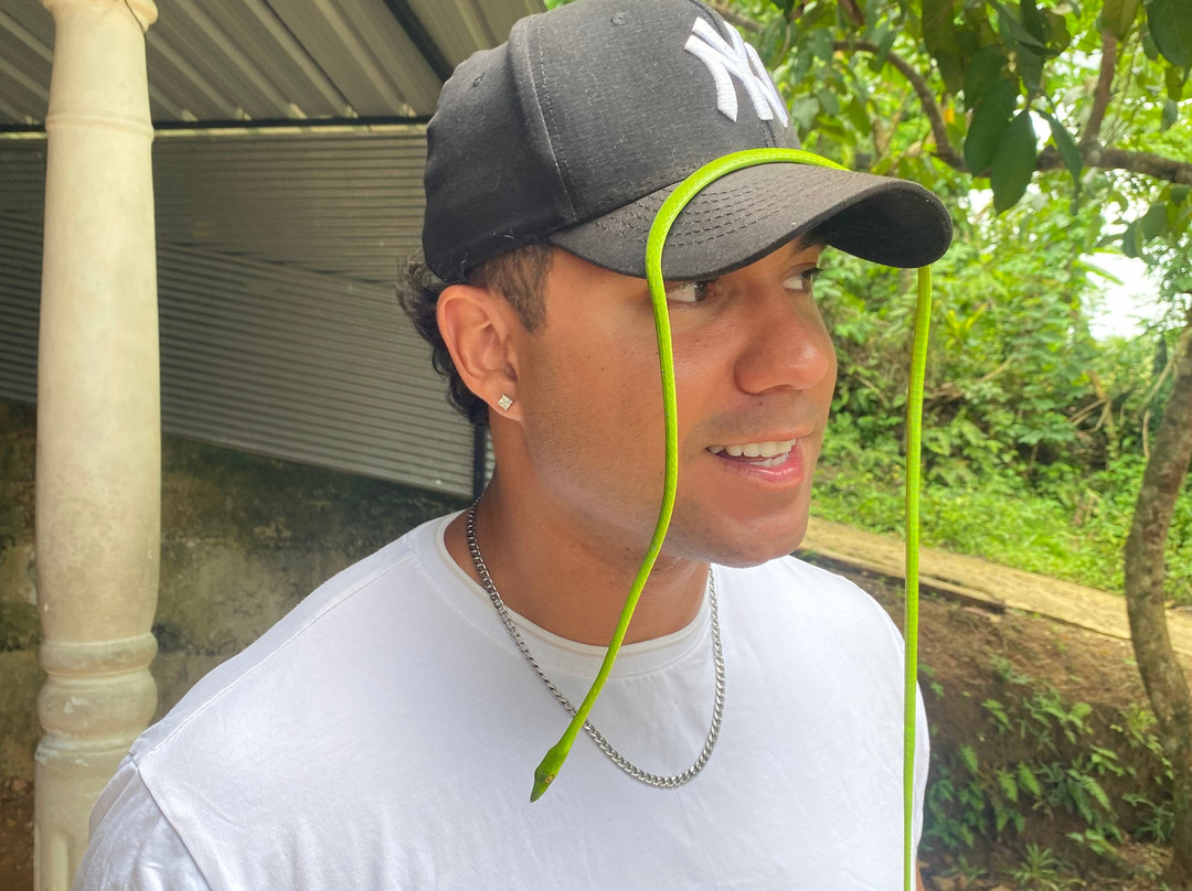 Snake Farm Weligama (Traditional Farm)-瓦勒迦玛必去景点