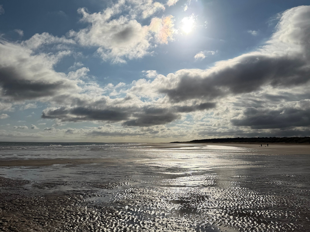 Holkham Bay-Wells-next-the-Sea必去景点