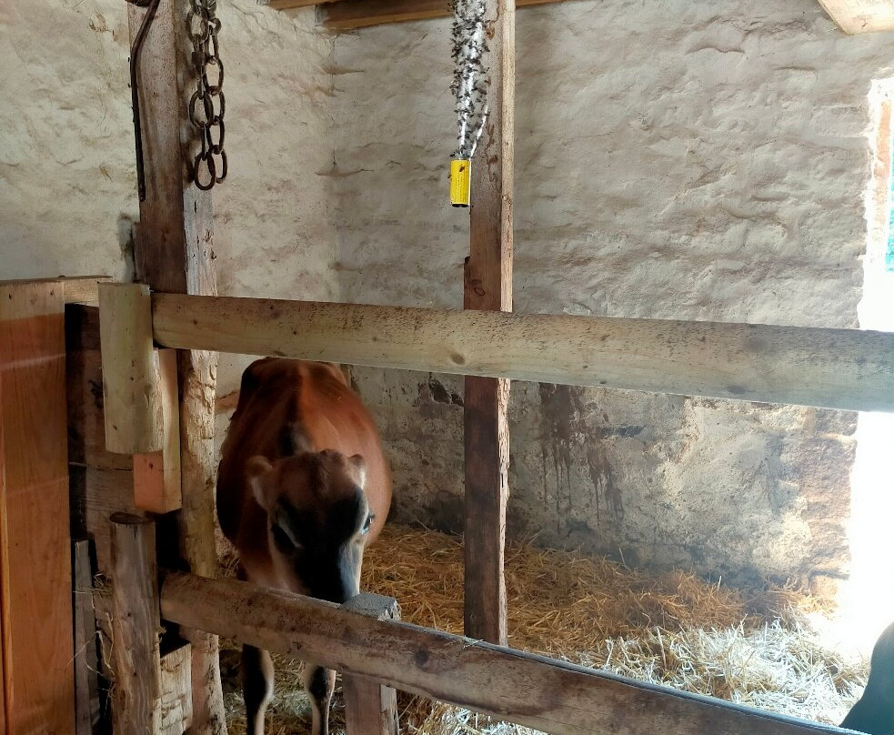 Hamptonne Country Life Museum-St. Lawrence必去景点