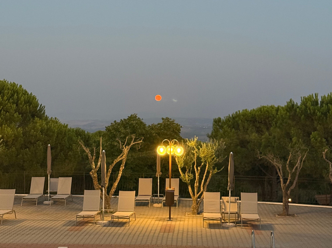 Bar Terrazza Etrusca