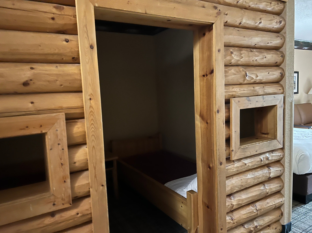 特拉弗斯城大狼山林小屋主图