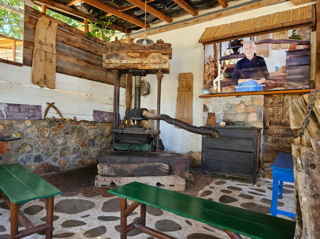 Spiridi Olive Oil Farm-Agios Nikolaos必去景点