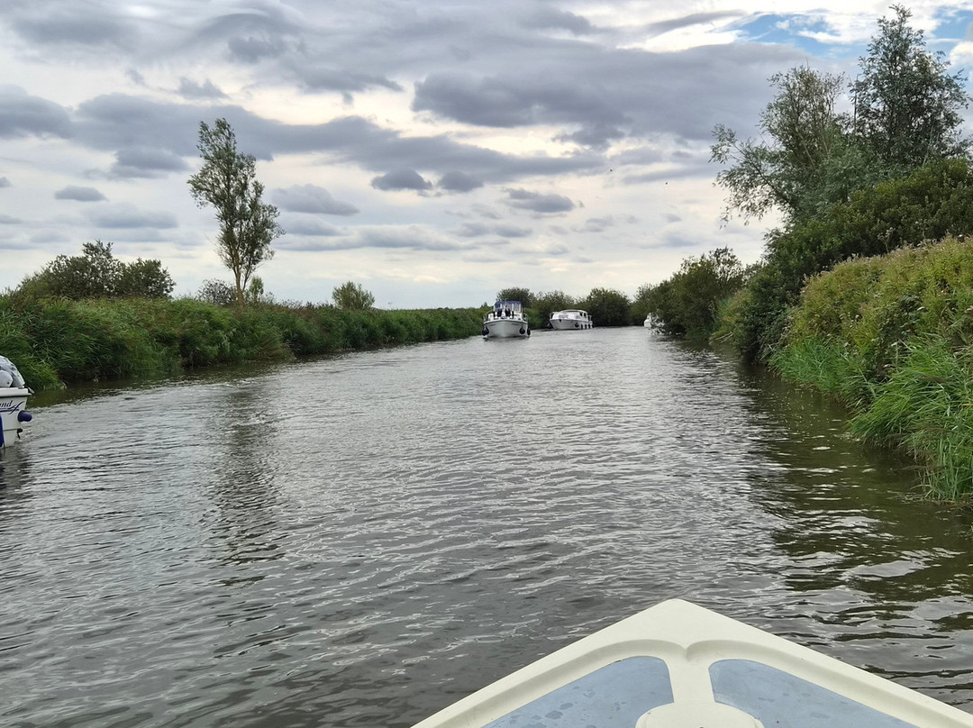 Sutton Staithe Boatyard-Sutton必去景点