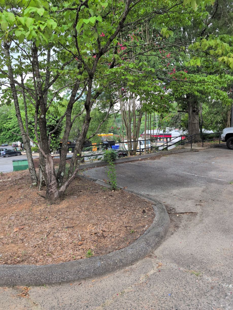 温德姆希尔斯伯勒麦客达客栈套房酒店-旅行者