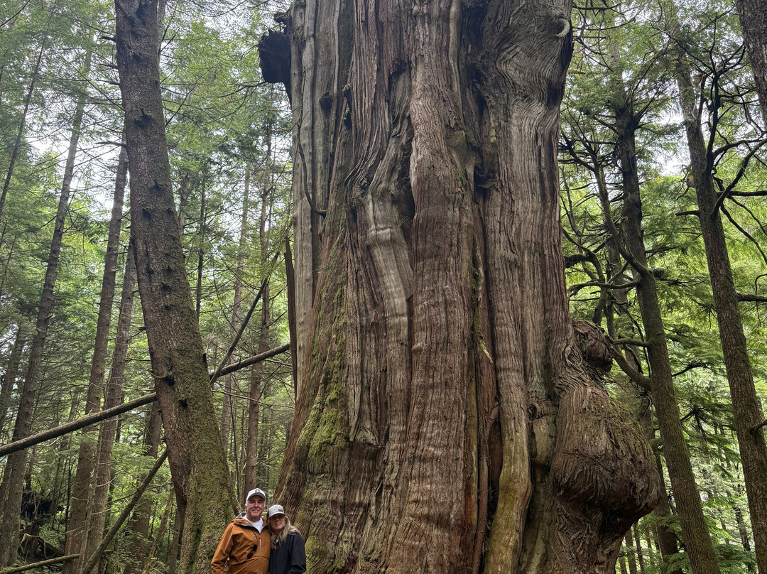 Nimmo Bay Wilderness Resort主图
