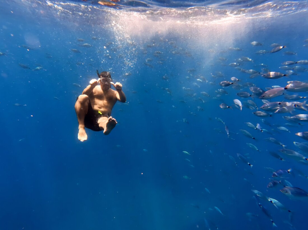 Cilento Snorkeling-Marina di Camerota必去景点
