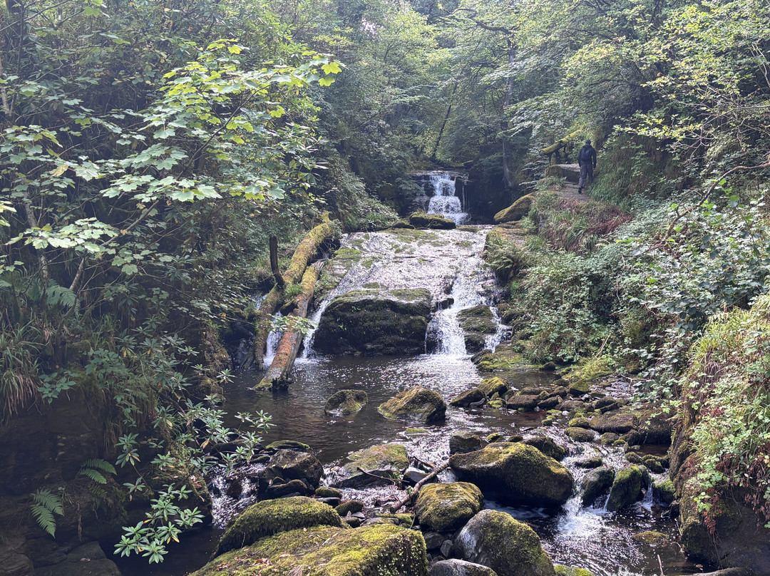 Watersmeet Trail-林茅斯必去景点