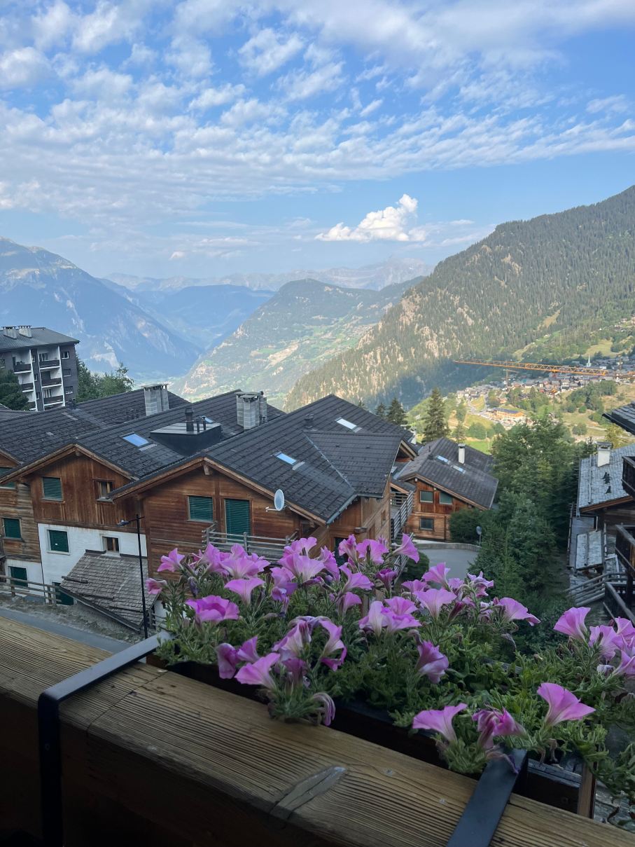 威比耶尔旅馆-旅行者