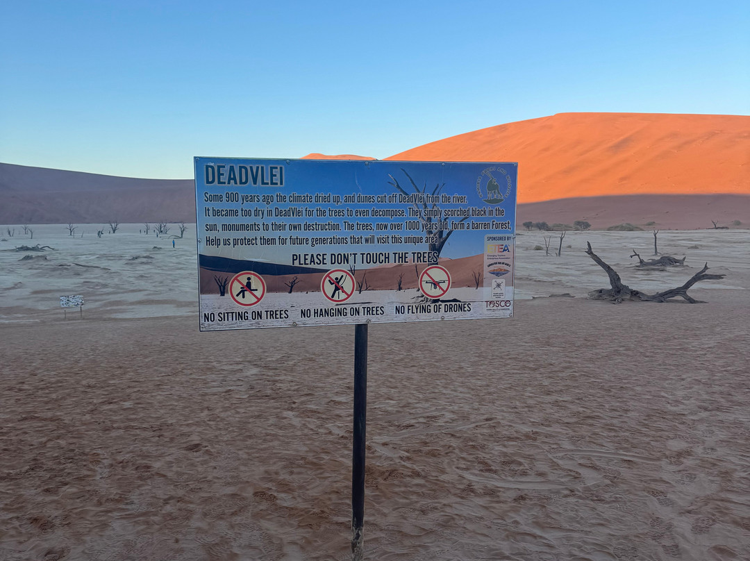 Deadvlei-苏丝斯黎必去景点