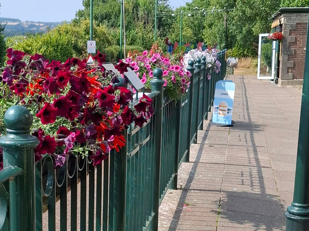 Colyton Tram Station-Colyton必去景点