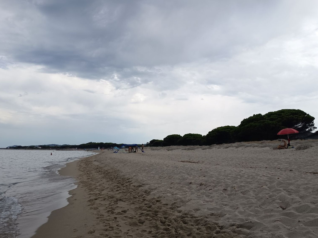 Spiaggia di Su Tiriarzu-Posada必去景点