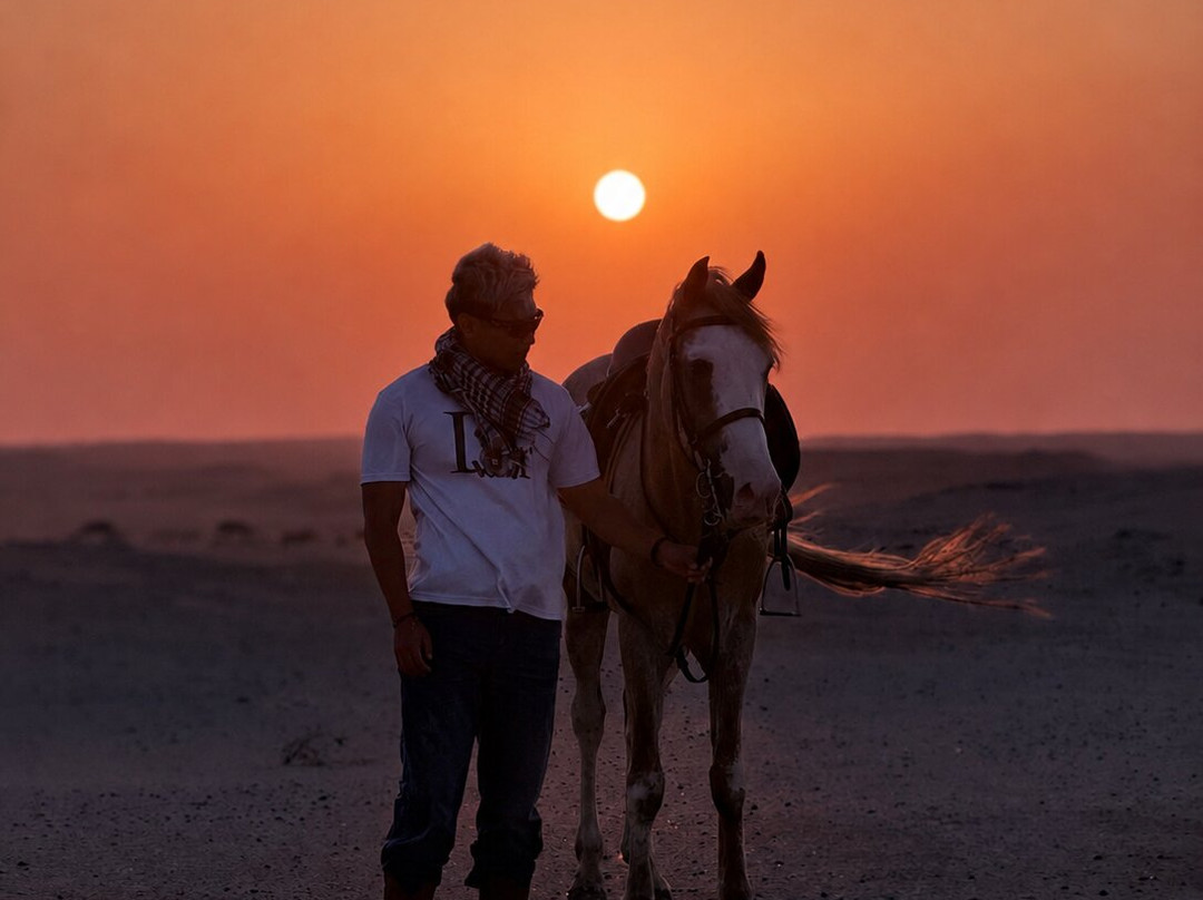 Horse Trips Egypt-Tunis必去景点