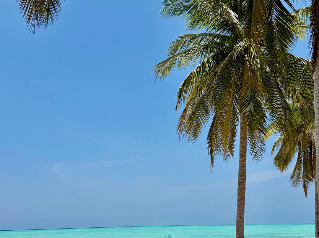 Balabac Tour By The Wanderwalkers-巴拉巴克必去景点