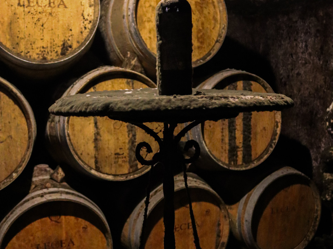 Bodegas Lecea-San Asensio必去景点