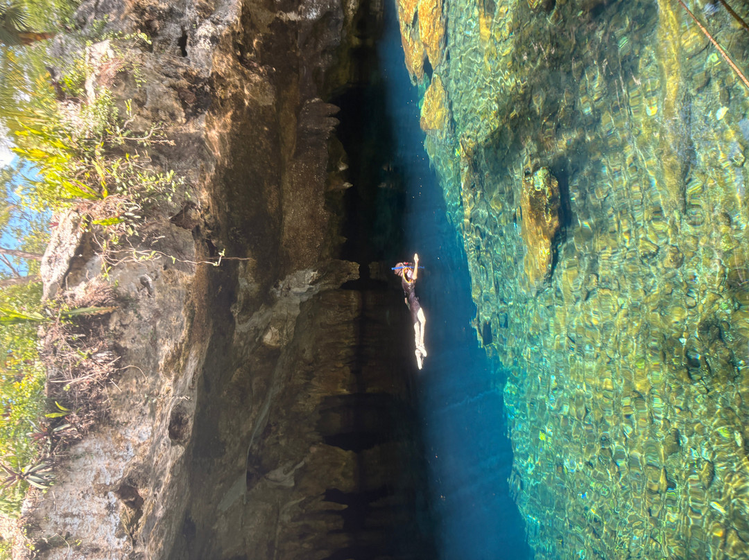 Gran Cenote-图伦必去景点