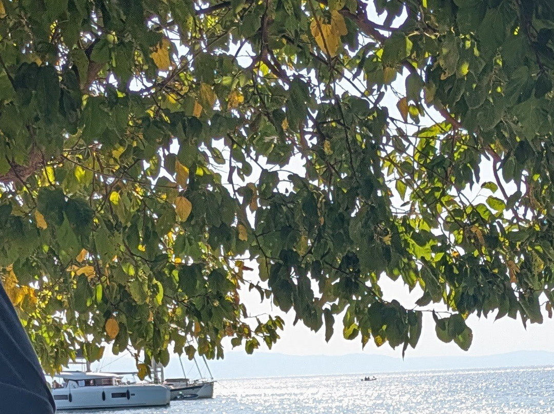 Agnondas Beach-Agnontas必去景点