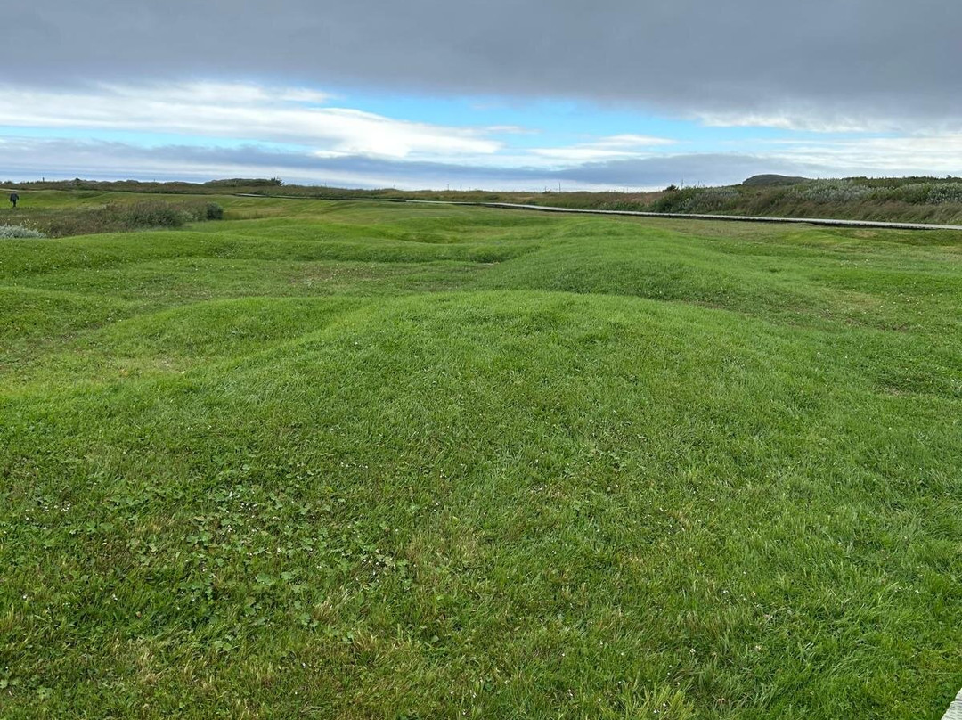 L'Anse Aux Meadows National Historic Site-L'Anse aux Meadows必去景点