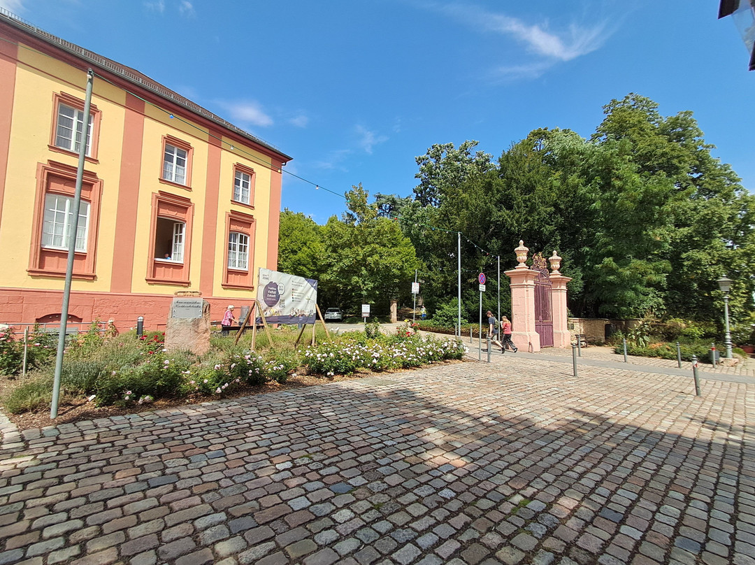 Schlossgarten Kirchheimbolanden-Kirchheimbolanden必去景点