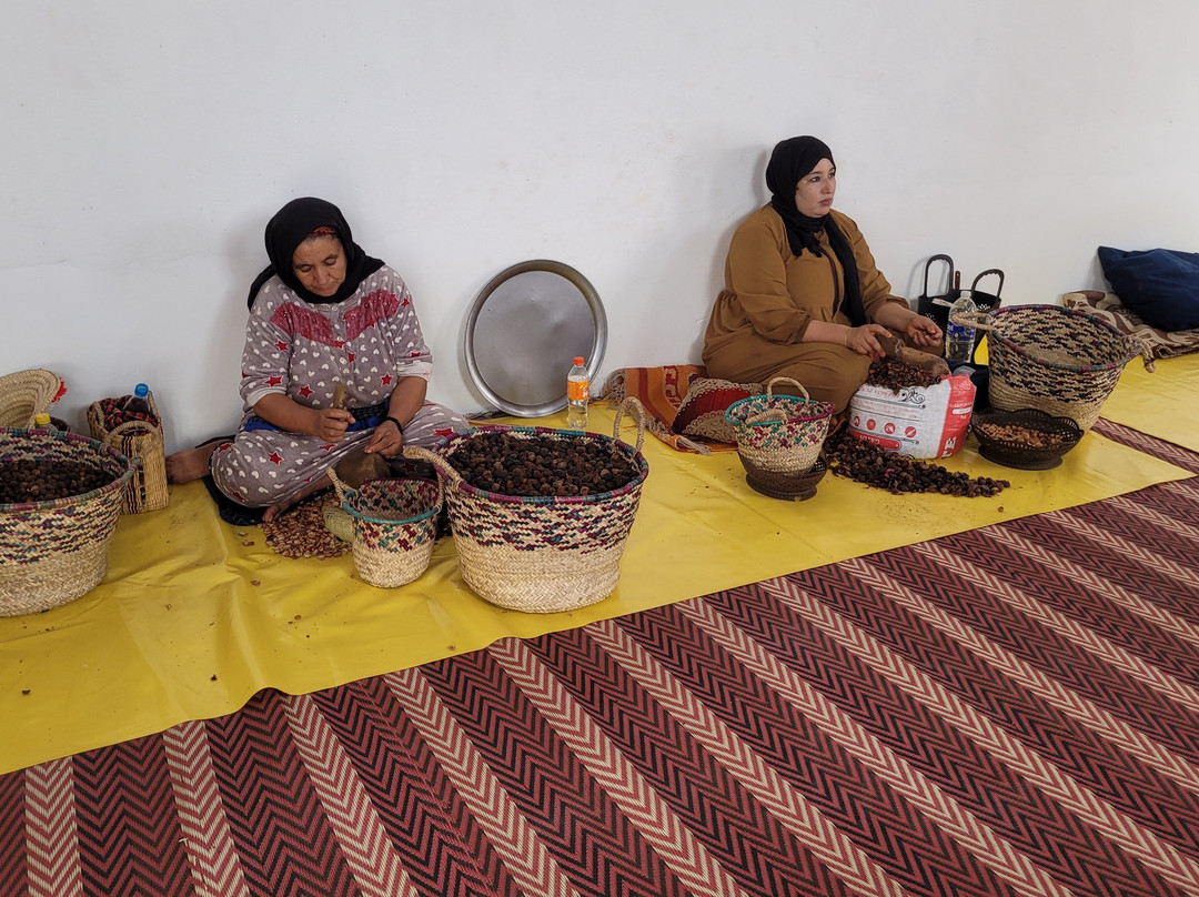 Cooperative Marjana (ARGAN OIL)-索维拉必去景点