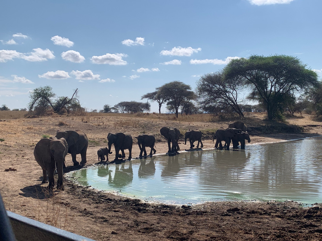 Exciting African  Tours-亚的斯亚贝巴必去景点