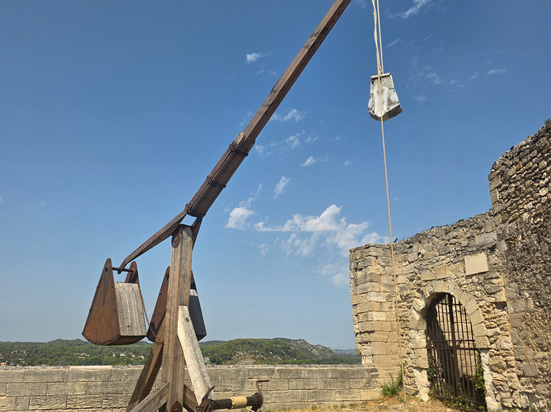 Fort Saint-andré-阿维尼翁新城必去景点