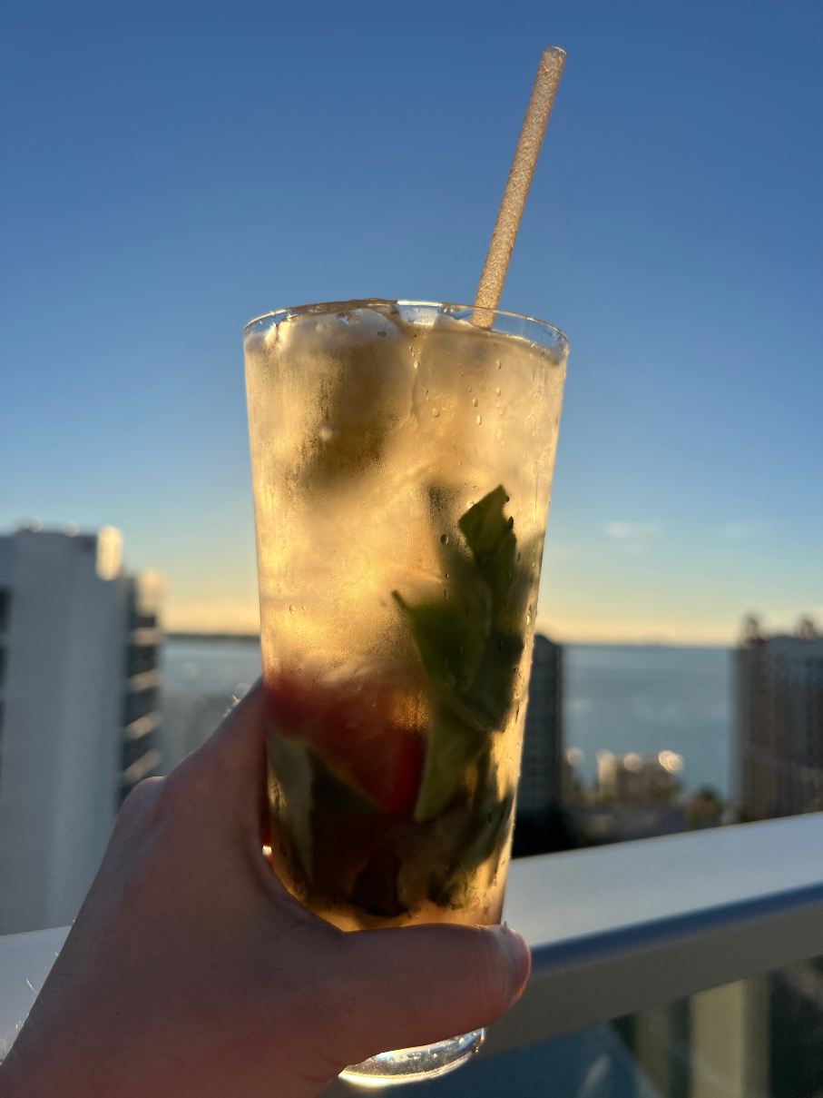 萨拉索塔威斯汀酒店-旅行者